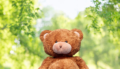 soft toys and childhood concept - brown teddy bear over green natural background