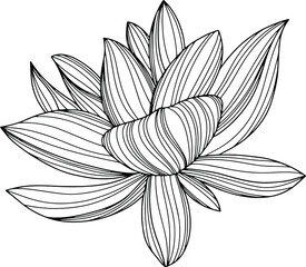 Flower isolated on white, hand drawn sketch, vector flower illustration. Eps 10