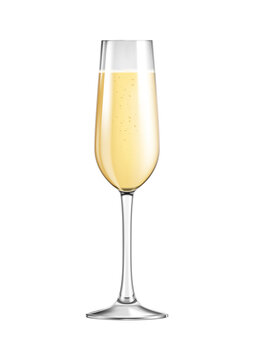 Champagne Glass Illustration