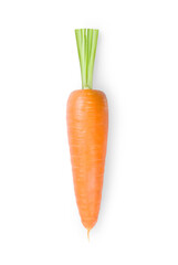 Fresh ripe carrot isolated on white background.
