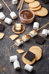 Smores with marshmallow, chocolate and crackers