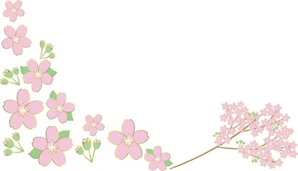 桜の花と枝のカラーイラスト