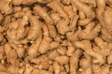 Ginger Roots Background Spices and Ingredients Vegetables Organic Plants Medicine