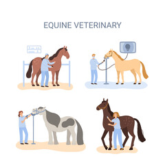 a vector concept of equine medical procedures - obrazy, fototapety, plakaty