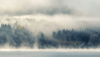 Morning fog over forest and mountain lake	 - 480162302