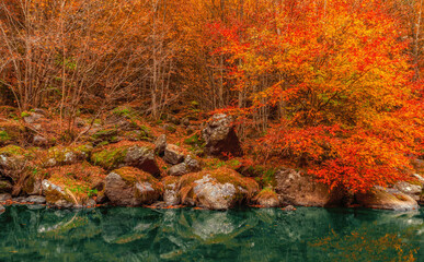 Autumn River Landscape Colors in nature	
