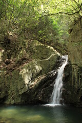 Fototapeta premium 小滝