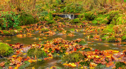 Silky river in the forest early autumn	 with colorful foliage - 480162513