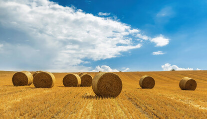 Countryside landscape with bales of hay and blue sky	 - 480162988