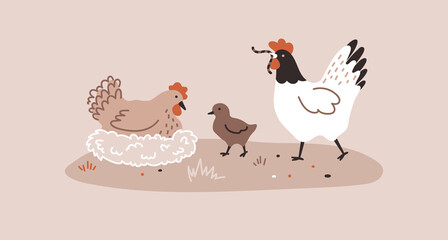 The white hen holds the worm, and the white one sits in the nest next to the chick. Chicken farm. Cartoon. Cozy vector illustration.
