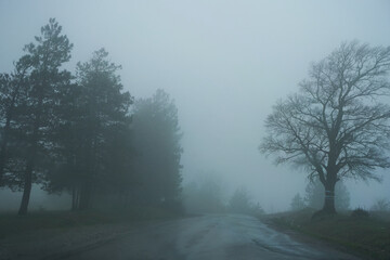 High fog in the mountains. Limited visibility. Bad weather conditions for the driver