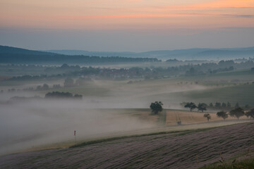 Der Himmel färbt sich Rosa, der Morgen naht