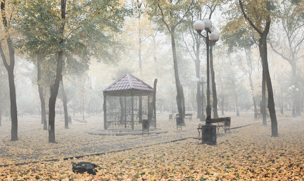 Fog in the autumn park. A gazebo in the fog among fallen yellow leaves and bare trees