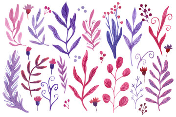 Set with beautiful flowers, leaves and berries for floral design. Hand painted watercolor illustration isolated on white. Great for wedding, Valentine's day cards. Lilac, purple and red colors.