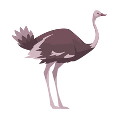 Ostrich Flat Icon