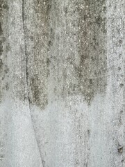 Texture of old slate partially covered with moss