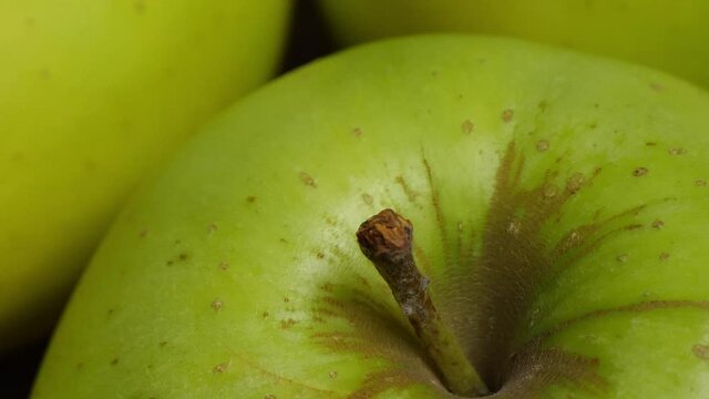 Apple with green peel, close-up. Apple of the Reinette Simirenko variety.
