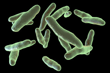 Bilophila wadsworthia bacteria