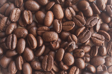 Closeup of roasted coffee beans