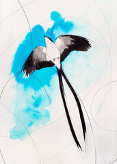 Silhouette of a bird with long tails flying up in the sky. Abstract Freedom concept. Hand made watercolor painting. Spots and lines art.