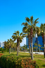 Modern well-groomed city embankment, a park area