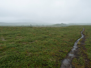 Muddy footpath of Padjelantaleden hiking trail in moody Lapland landscape in thick fog with green plain, mountains and birch trees. Sweden wild nature. Summer cloudy day