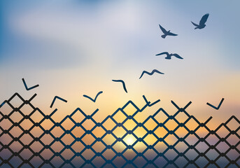 Concept de la libération, avec la grille d’une palissade qui se métamorphose en une colombe, qui s’envole et s’évade au soleil couchant.
