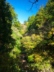 日本、群馬県、榛名神社の参道からの景色