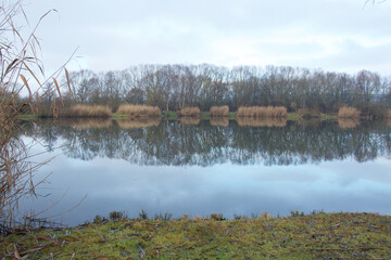 Idyllischer See im Winter, Wasserreflexionen, Schilf