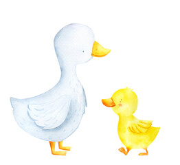 Watercolor duck isolated on white background. Cute farm animal illustration. Baby spring easter animal for party, teaching, preschool graphics
