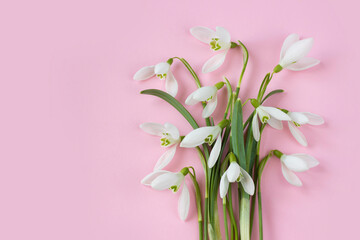 Spring board with space for text- white snowdrops on pink background. Template for greeting cards for Mother's day, 8 march, Valentine's day, wedding , birthday cards , sales and advertising