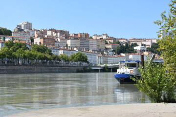 Lyon 1