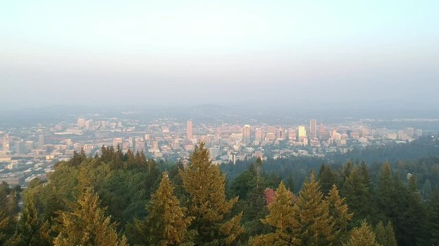Drone descend into forest trees overlooking downtown Portland Oregon over the Pittock Mansion