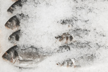 Raw frozen fish cold in ice fresh seafood on the supermarket counter