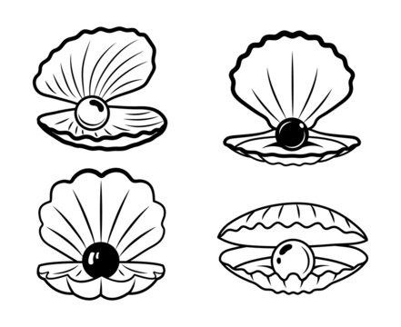 Set of seashell with a pearl. Collection of marine seashell. Vector illustration of a clam. Drawing for children.