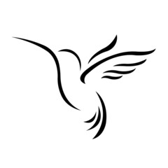 Bird of paradise silhouette drawn with black lines on a white background. Tropical bird hummingbird in a linear style. Logo for prints, tattoos, emblem for company or club design. Vector isolated 