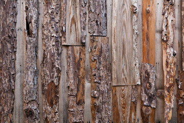 Wall with textured boards with bark.