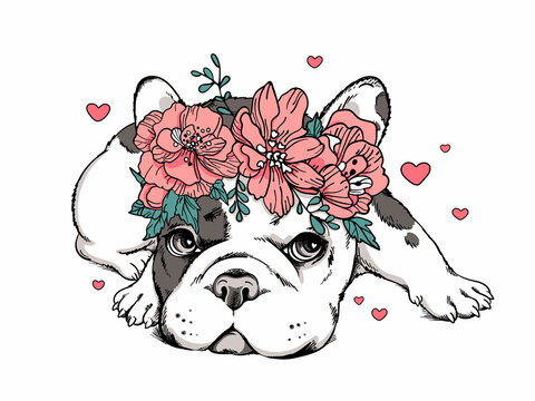 Cute cartoon french bulldog puppy in a floral wreath. Beautiful  animal with flowers. Stylish summer image for printing on any surface