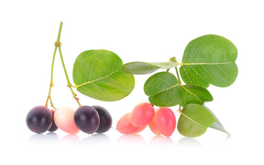 bengal-currants, carandas-plum, on a white background