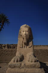 Statue Luxor Tempel am Nil, Ägypten, Detailansicht