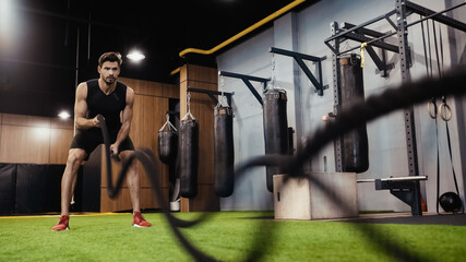 Fototapeta full length of strong sportsman training with battle ropes in gym. obraz