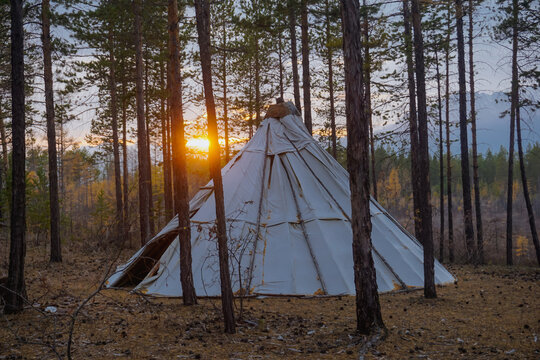 A chum in the taiga is a temporary dwelling used by the nordic people