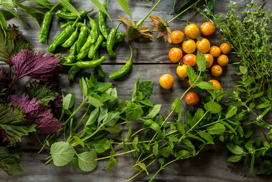 Rustic table with garden harvested vegetables, herbs and flowers