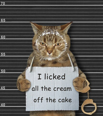 A beige cat was arrested. He has a sign around its neck that says I licked all the cream off the cake. Black lineup background. - 480192949