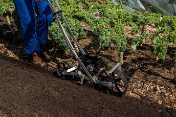 Urban farmer using a precision garden seeder