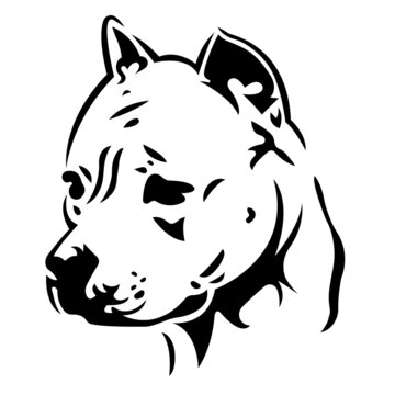 The silhouette of the muzzle of the Pitbull dog breed in black, drawn with lines of various widths. Design for a logo, tattoo, mascot, emblem, keychain, print on clothes. Vector isolated illustration