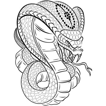 Silhouette of a king cobra snake attacking with open hood and open mouth in black. Design suitable for tattoo style, t-shirt print, sports team emblem, animal mascot, logo. Isolated vector