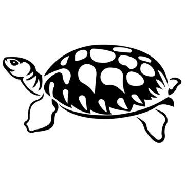 Silhouette, contour of a black turtle drawn with lines of different widths. Design for logo, tattoo, symbol, mascot, emblem, print, water park. Vector isolated illustration