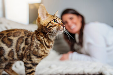 Bengal Cat in the living room on the couch with a woman
