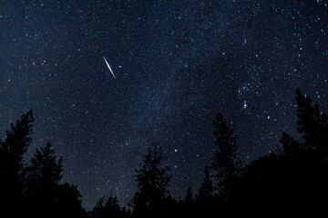 Fototapeta na wymiar Orionids Meteor Shower Landscape